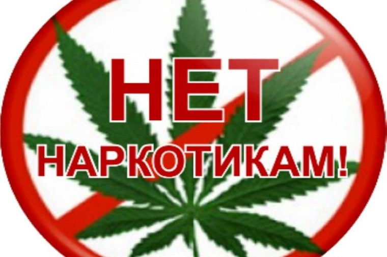ПАМЯТКА ПО ВЫЯВЛЕНИЮ ПОСЕВОВ И ОЧАГОВ ПРОИЗРАСТАНИЯ НАРКОСОДЕРЖАЩИХ РАСТЕНИЙ. ПАМЯТКА ПО ВЫЯВЛЕНИЮ ПОСЕВОВ И ОЧАГОВ ПРОИЗРАСТАНИЯ НАРКОСОДЕРЖАЩИХ РАСТЕНИЙ.